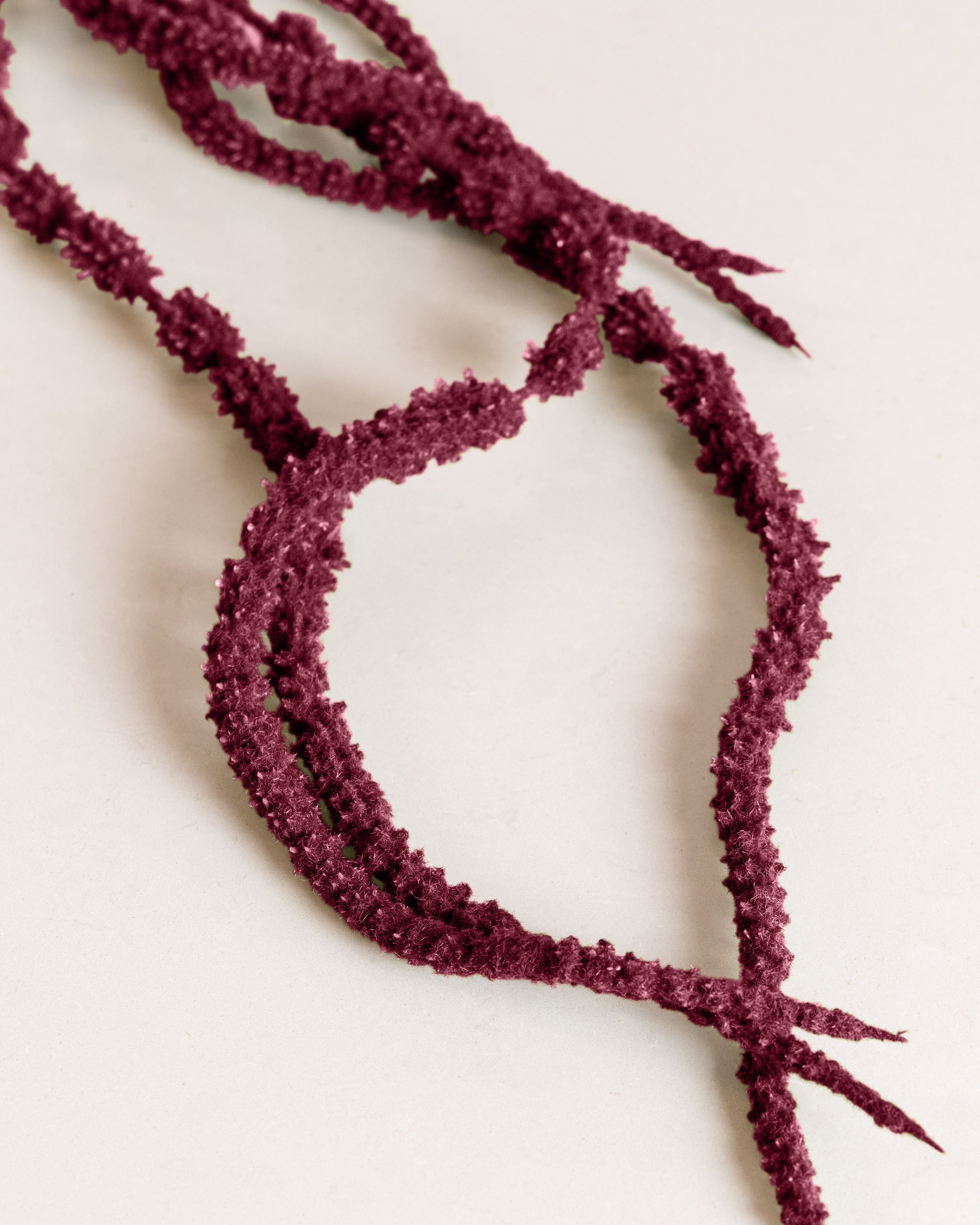 Amaranthus Flower — Dark Pink