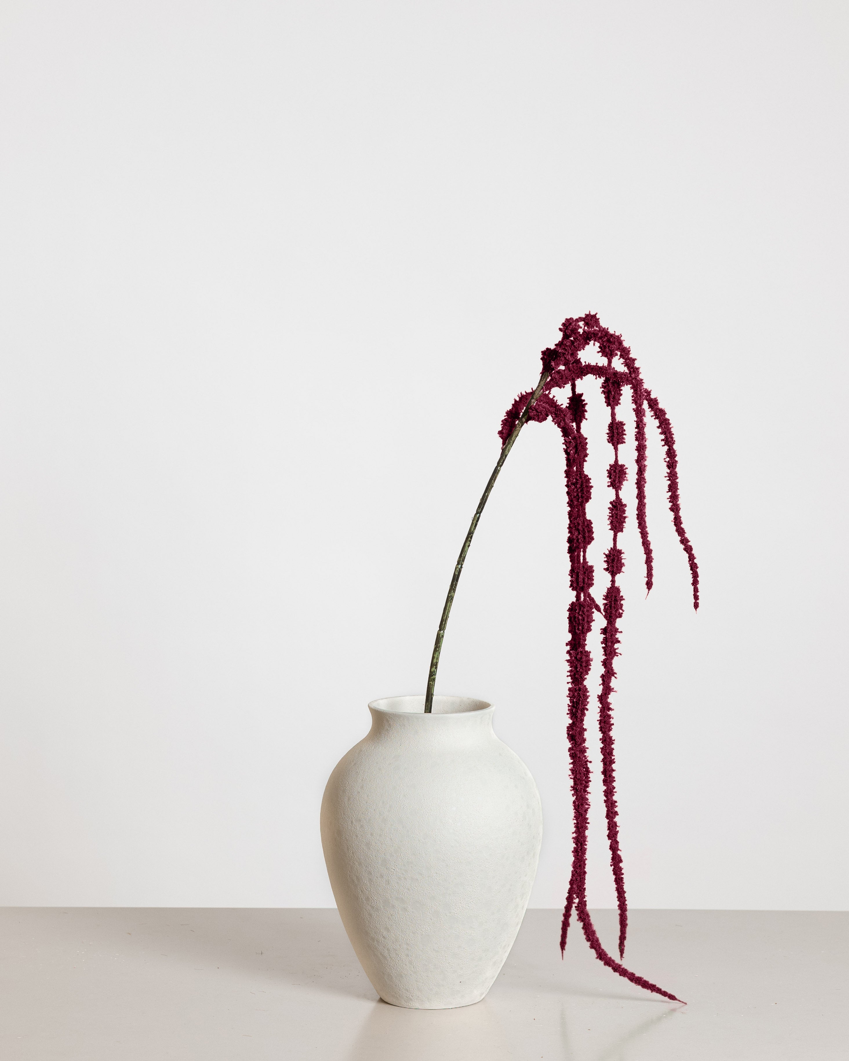 Amaranthus Flower — Dark Pink