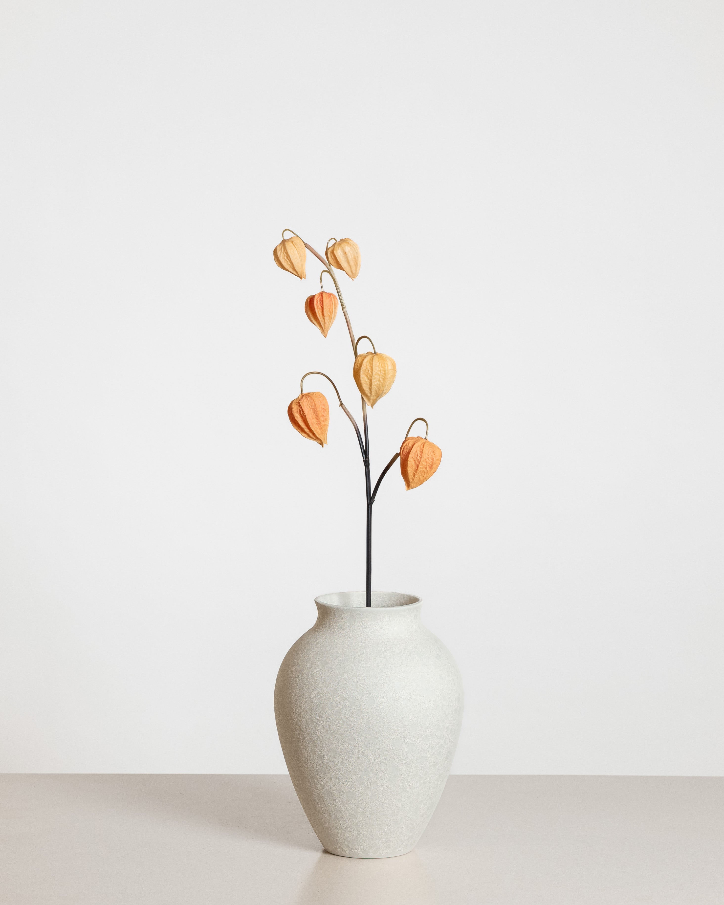 Physalis Flower — Orange