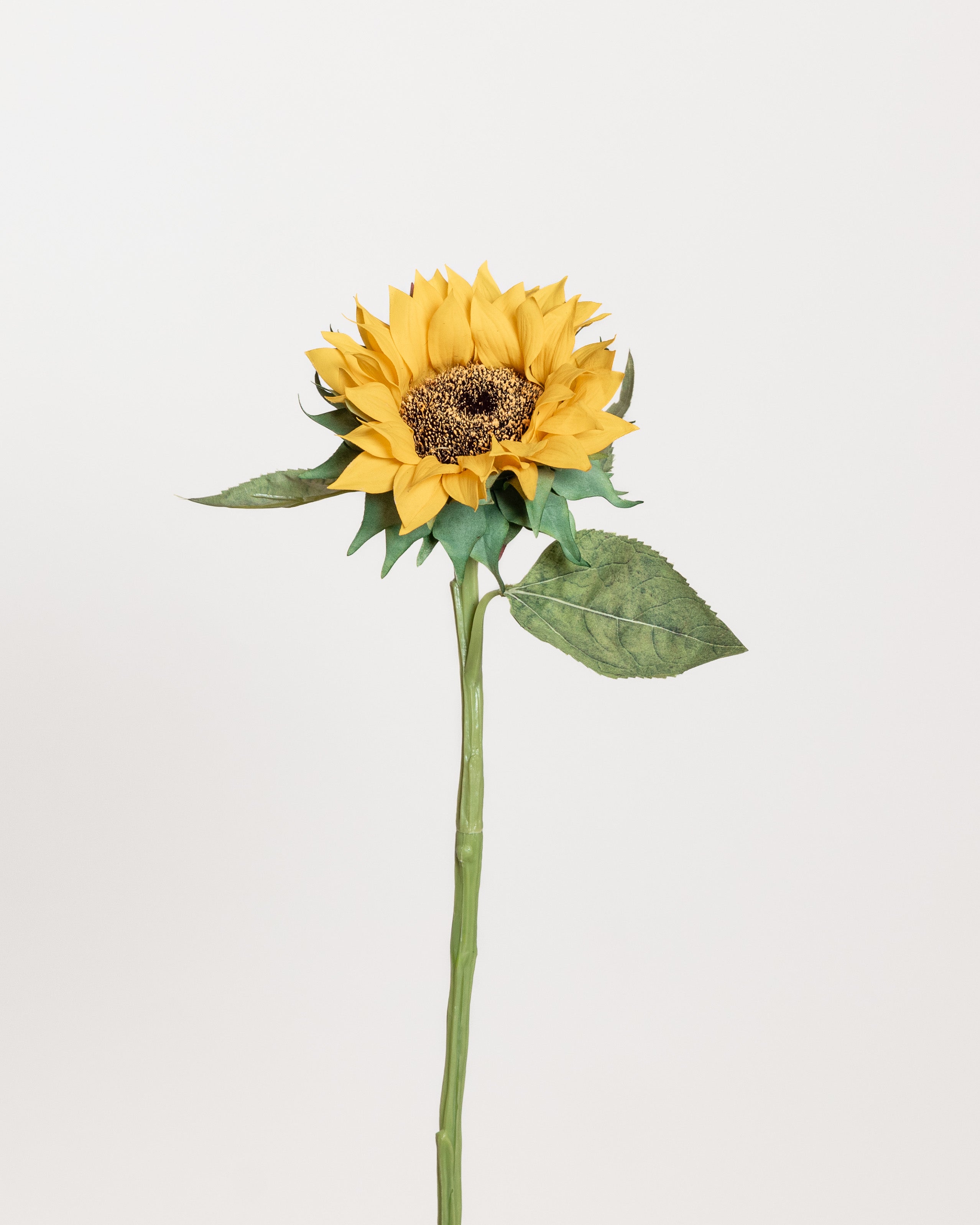 Sunflower — Yellow