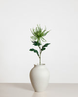 Chrysanthemum Spider — Green