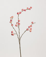 Apple Berry Spray  — Pink