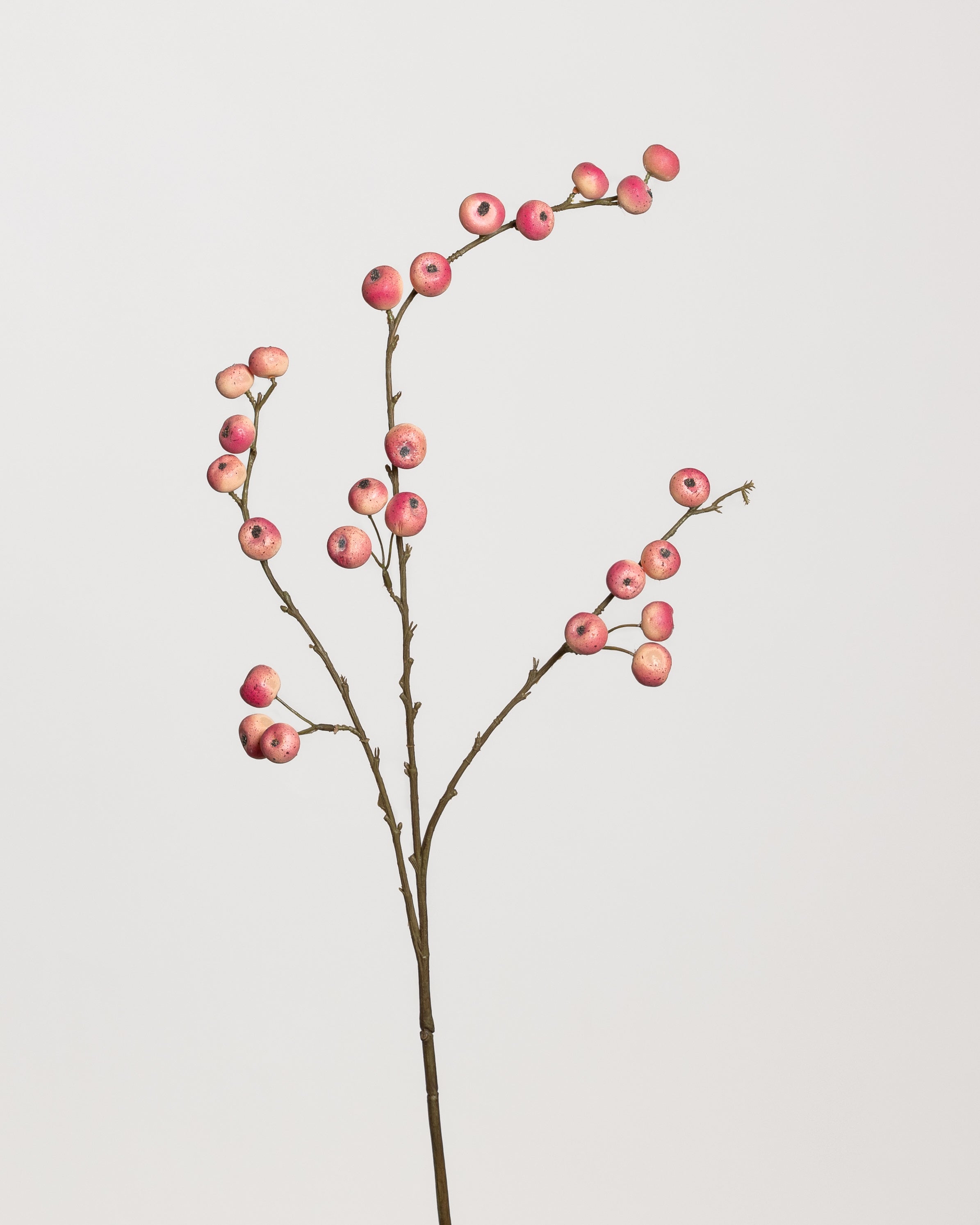 Apple Berry Spray  — Pink