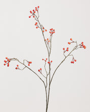 Bärspray — Apelsin