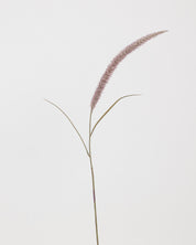 Foxtail Flower — Purple