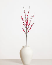 Ilex Bärspray — Röd