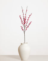 Ilex Bärspray — Röd