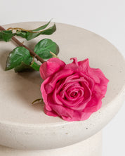 Premium Rose — Dark Pink