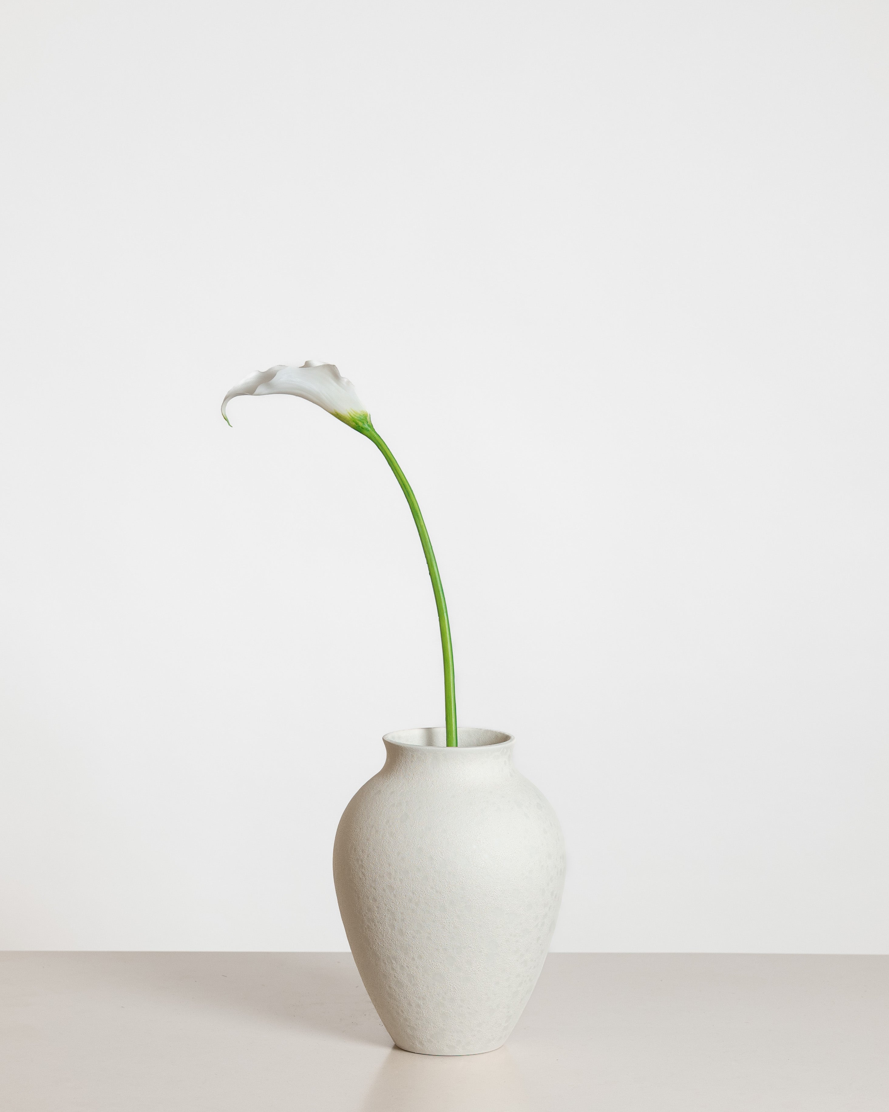 Calla Lily — White