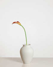 Calla Lily Flower — Red/Orange
