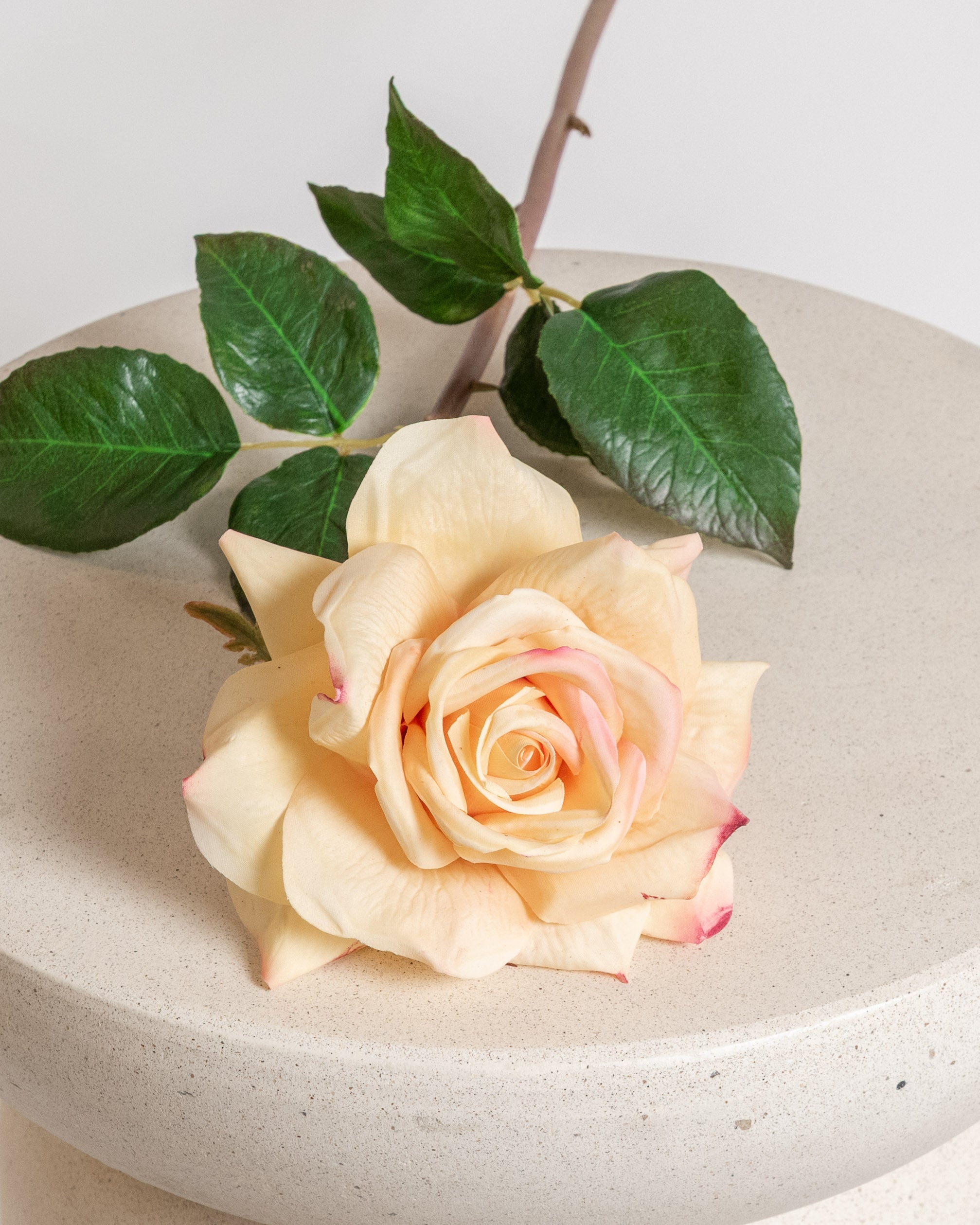 Premiumros — Ljusorange