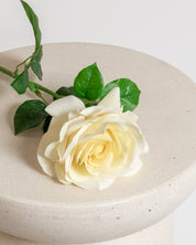 Rose — Light Yellow