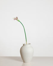 Calla Lily Flower — Light Pink