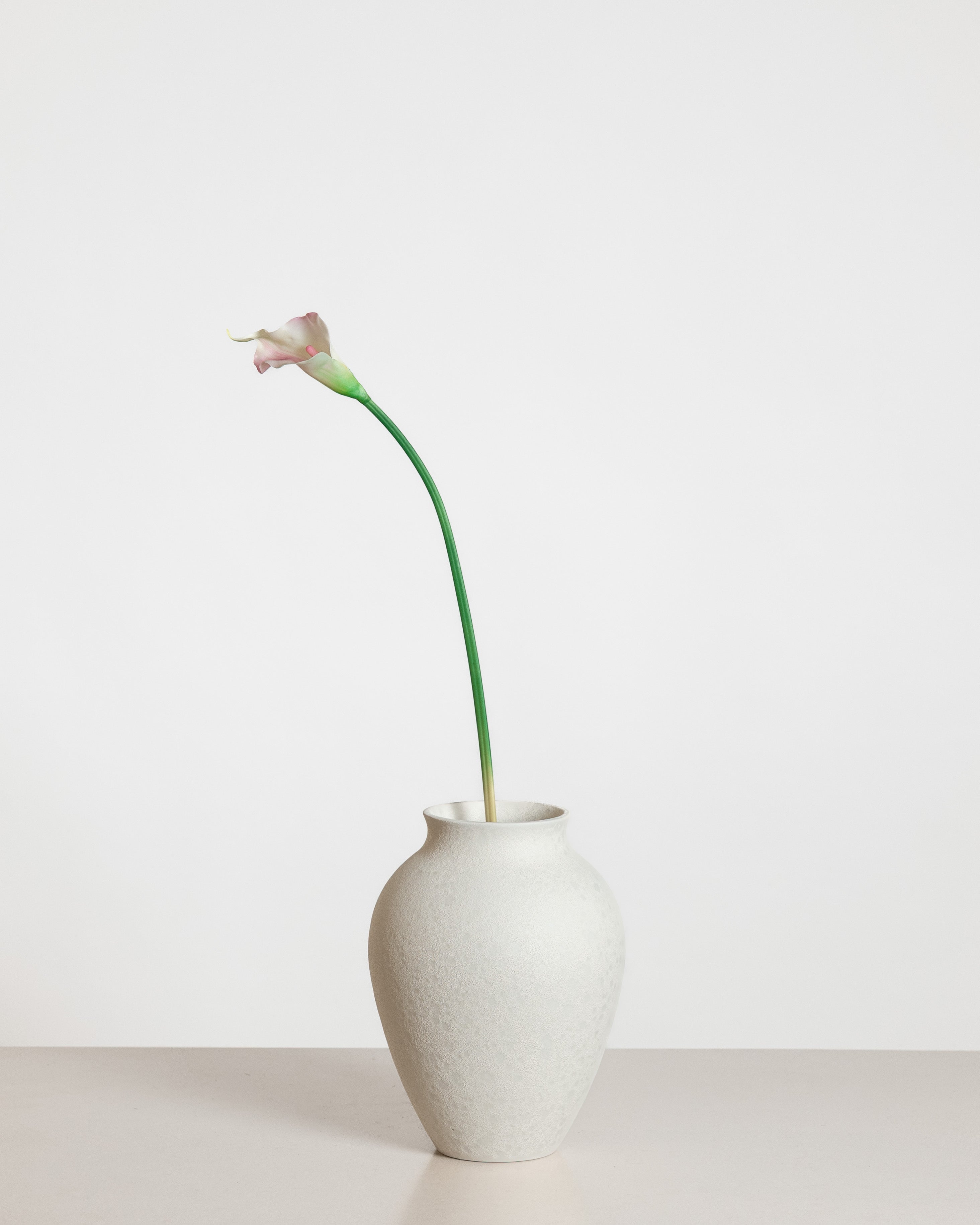 Calla Lily Flower — Light Pink