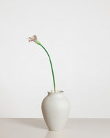 Calla Lily Flower — Light Pink