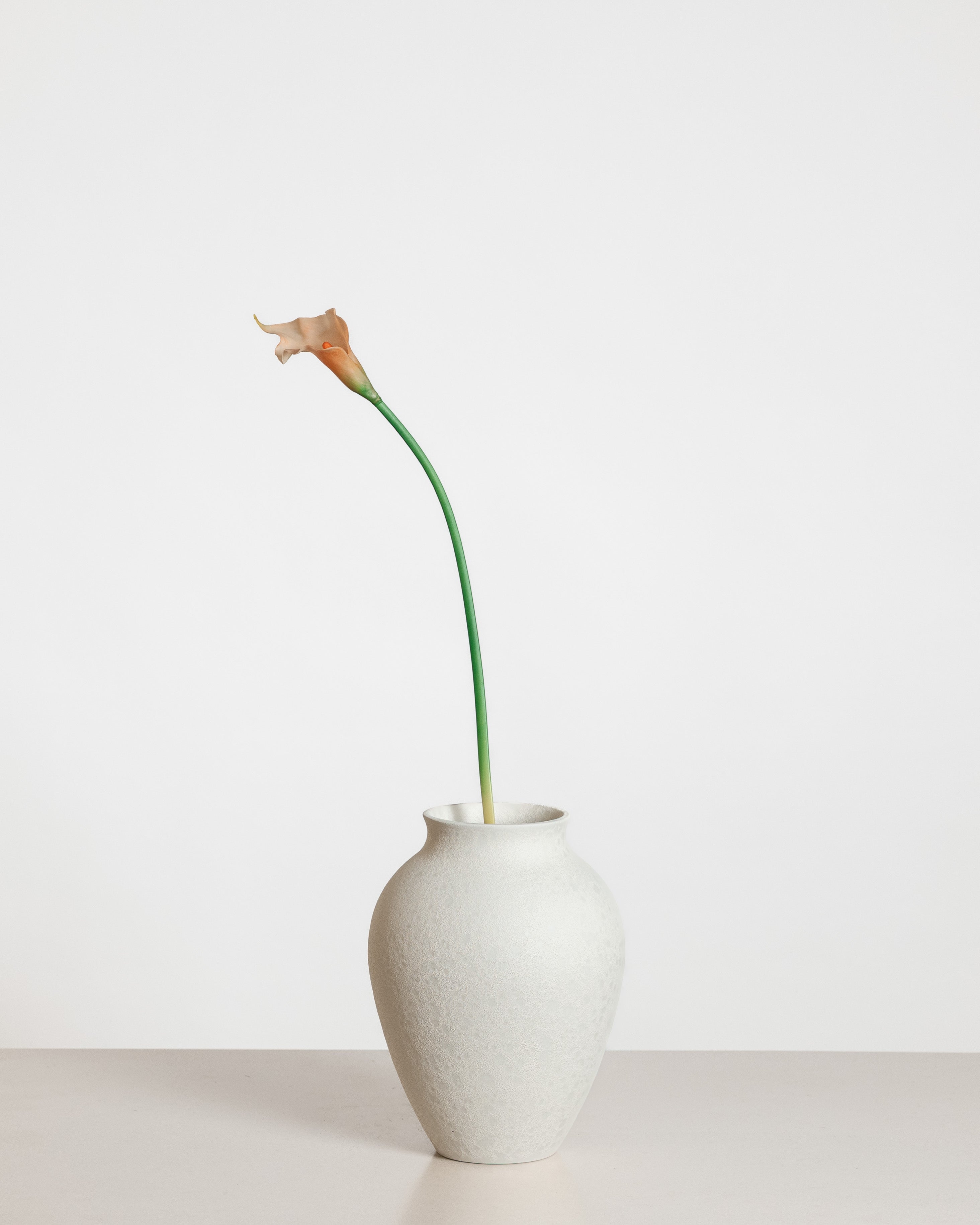 Calla Lily Flower — Peach