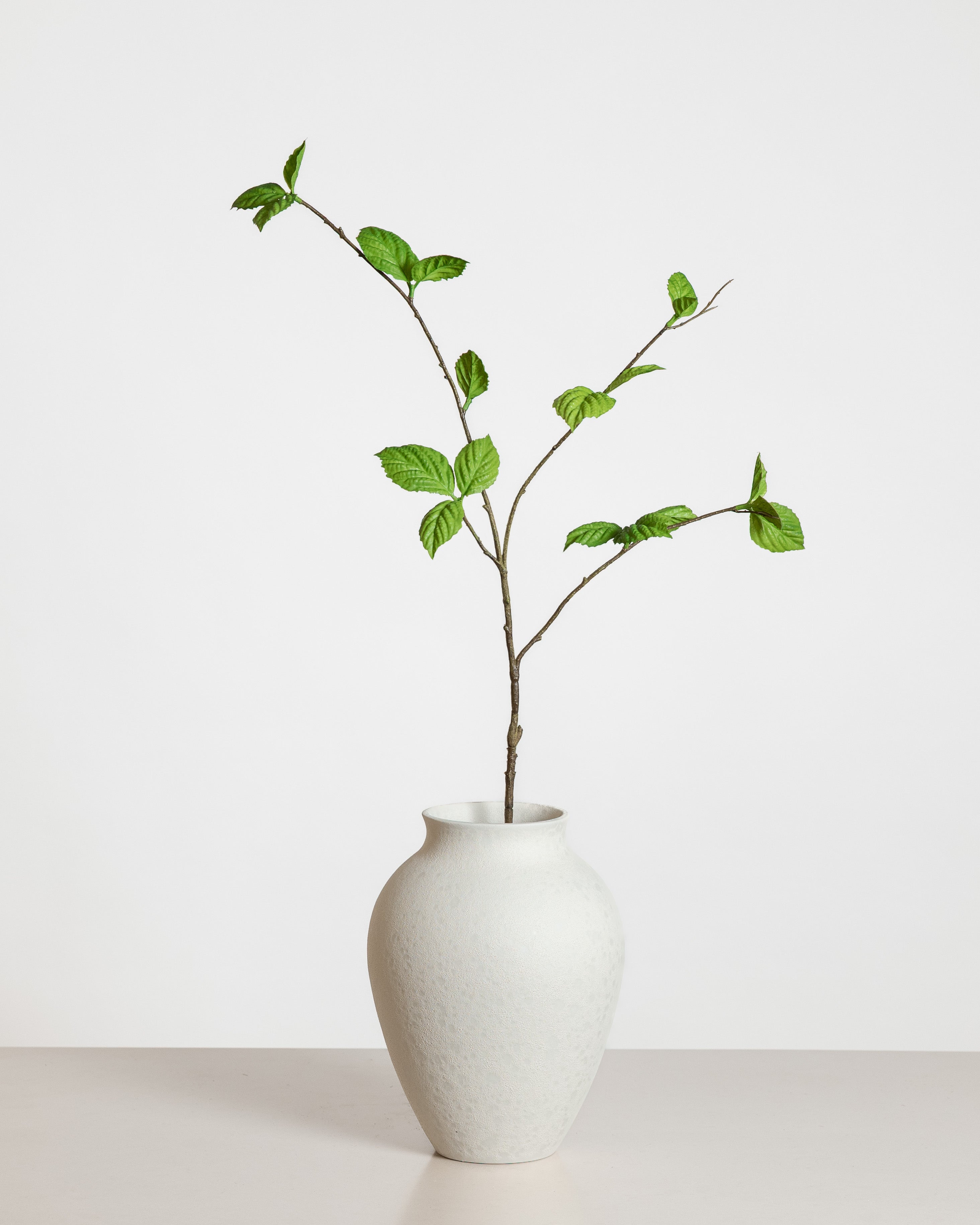 Corylus Leaf Spray — Green