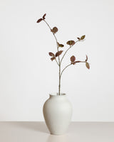 Corylus Leaf Spray — Brown/Green