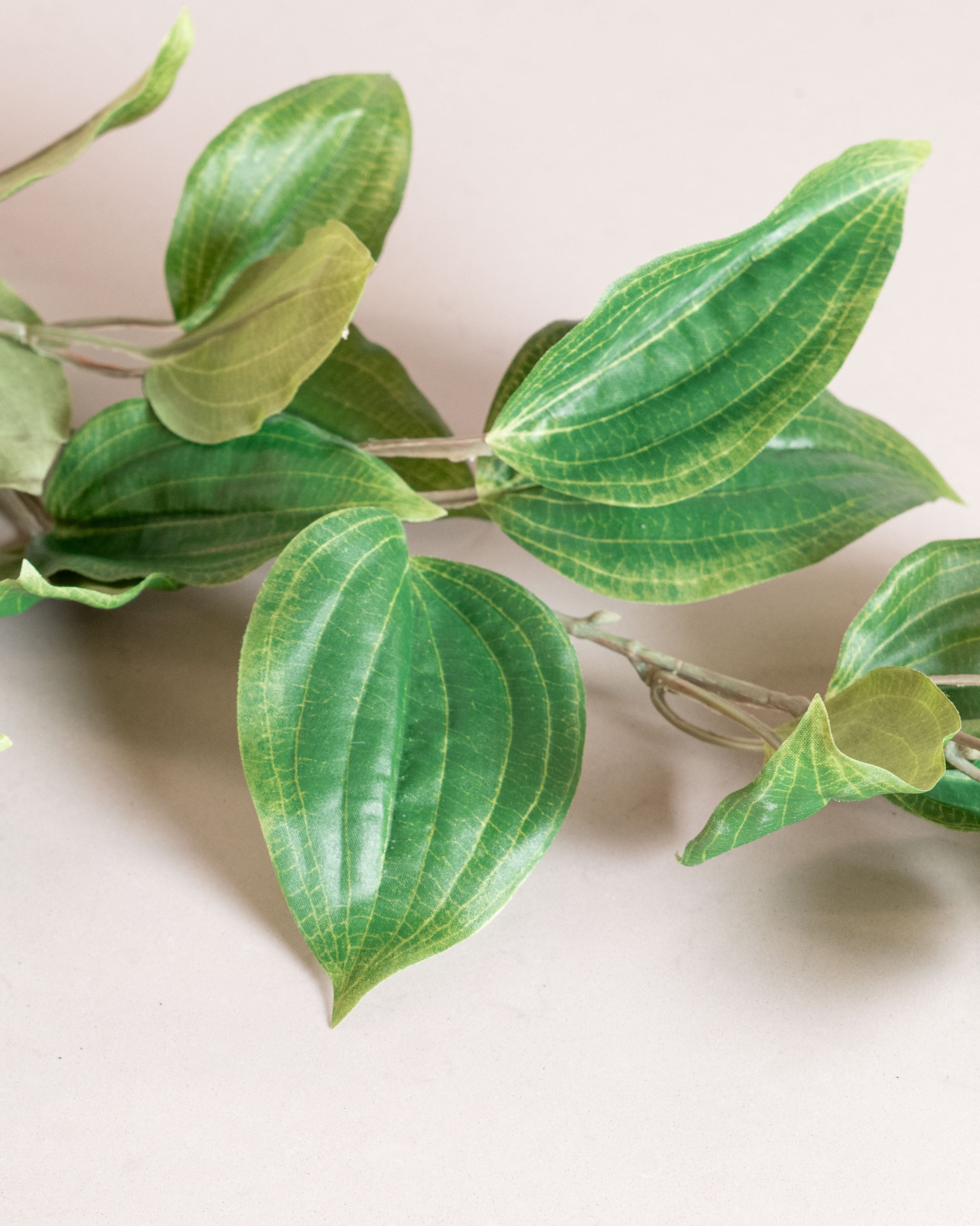 Clematis Leaf Spray — Green