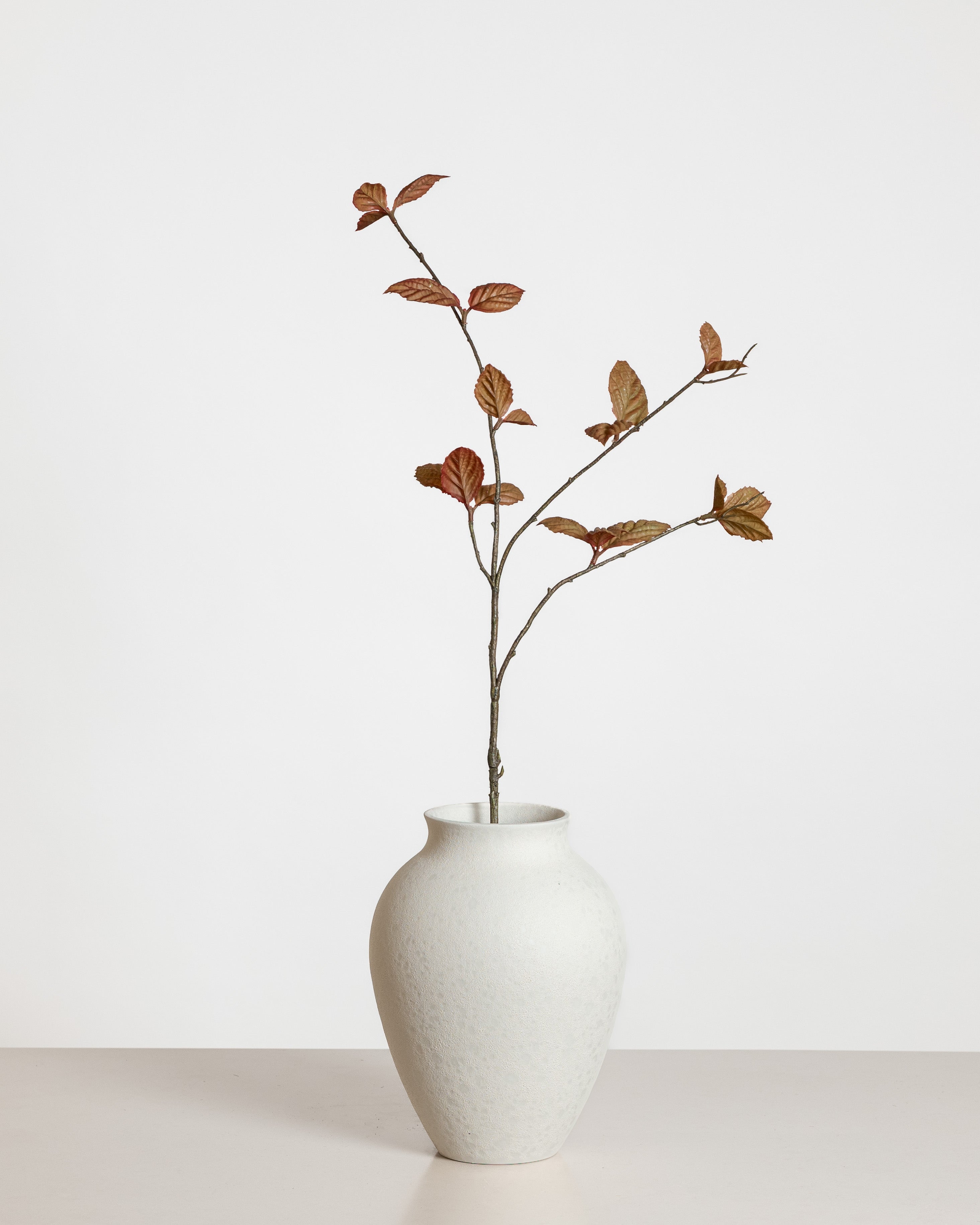 Corylus Leaf Spray — Brown