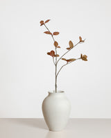 Corylus Leaf Spray — Brown