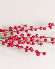 Ilex Bärspray — Röd