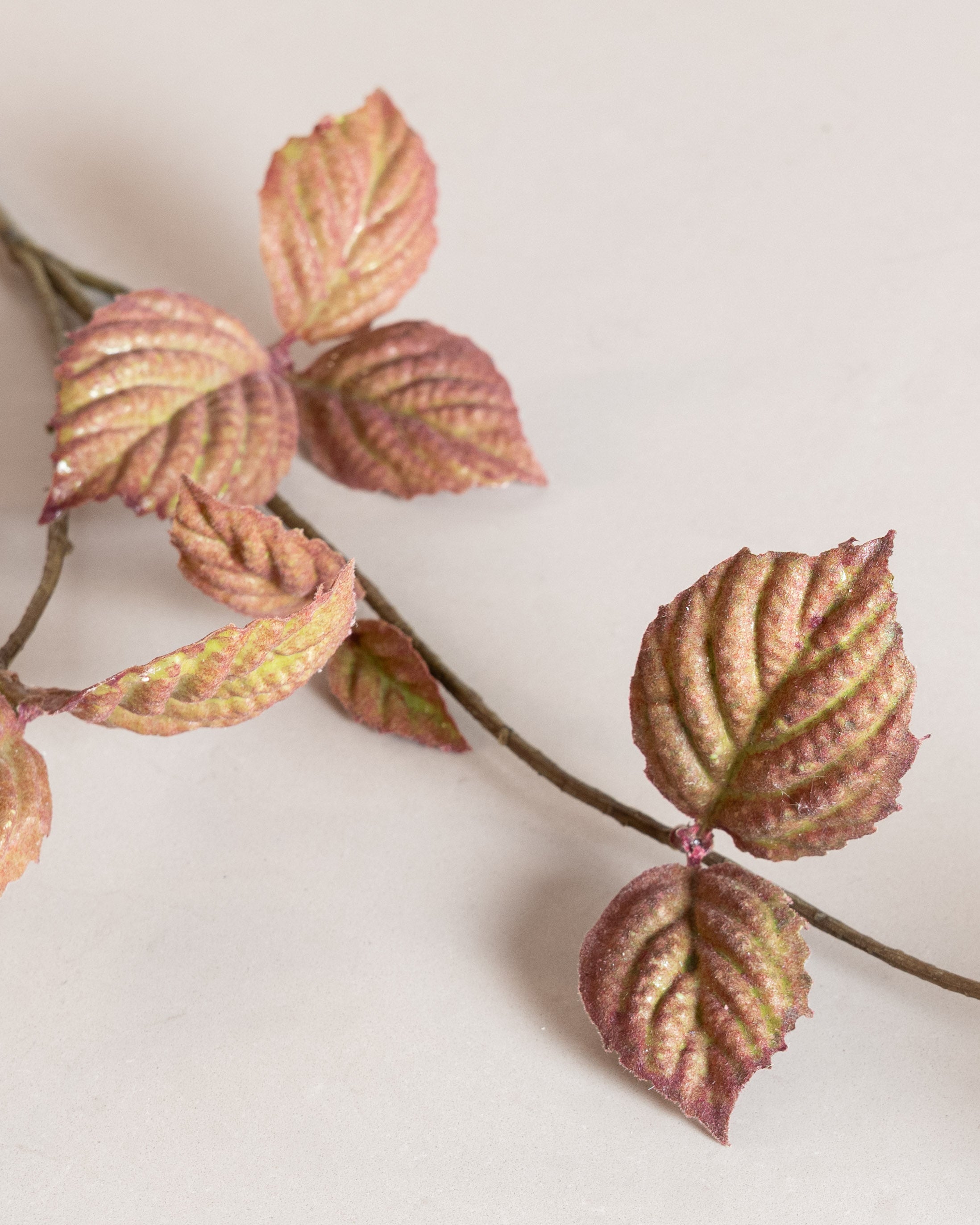 Corylus Leaf Spray — Brown/Green
