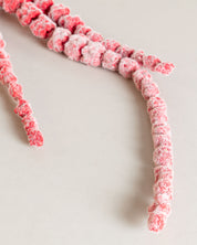 Amaranthus Flower — Red