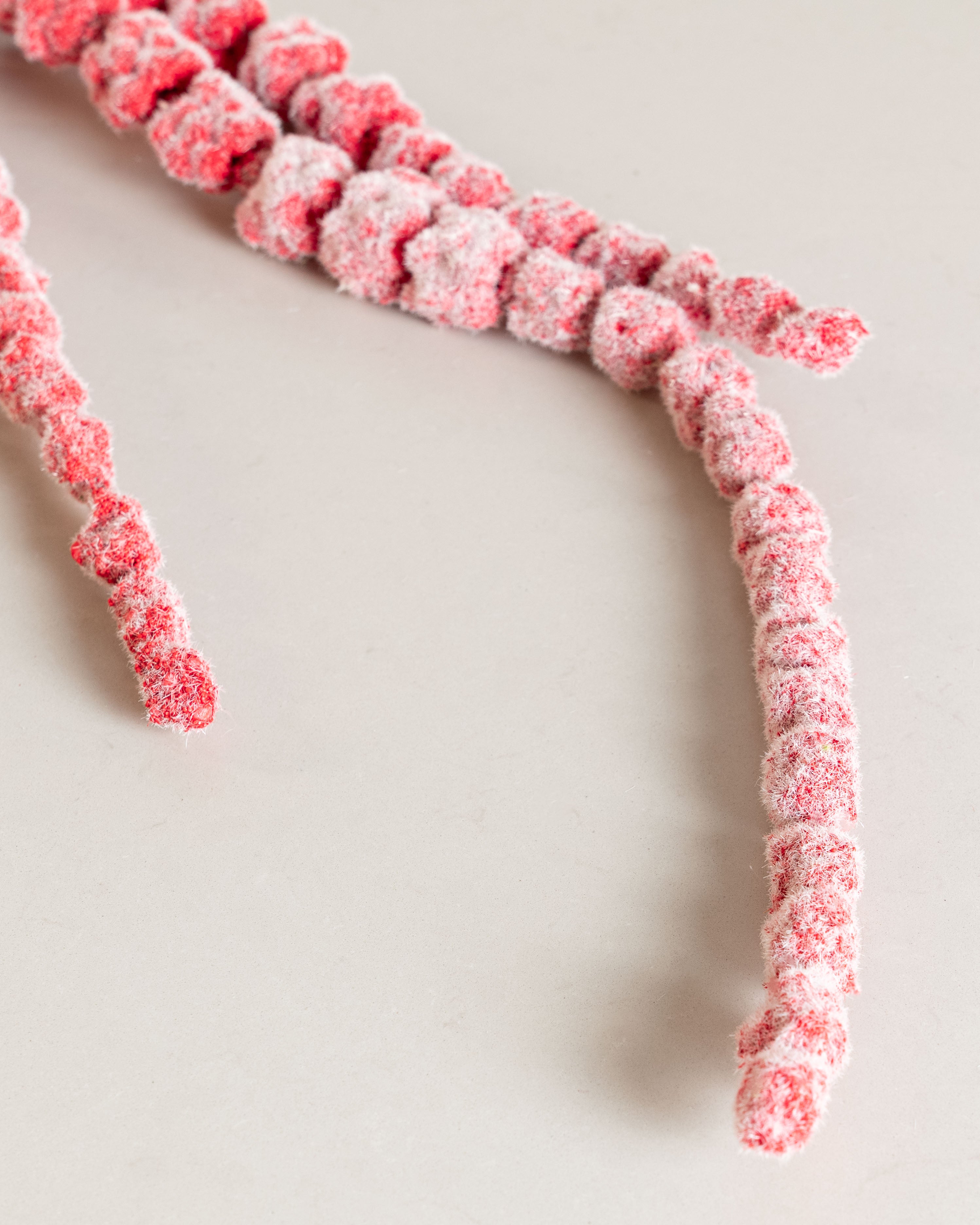 Amaranthus Flower — Red