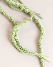 Amaranthus Flower — Light Green