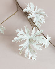 Maple Leaf Spray — Grey/Small