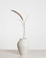 Foxtail  Flower — Brown