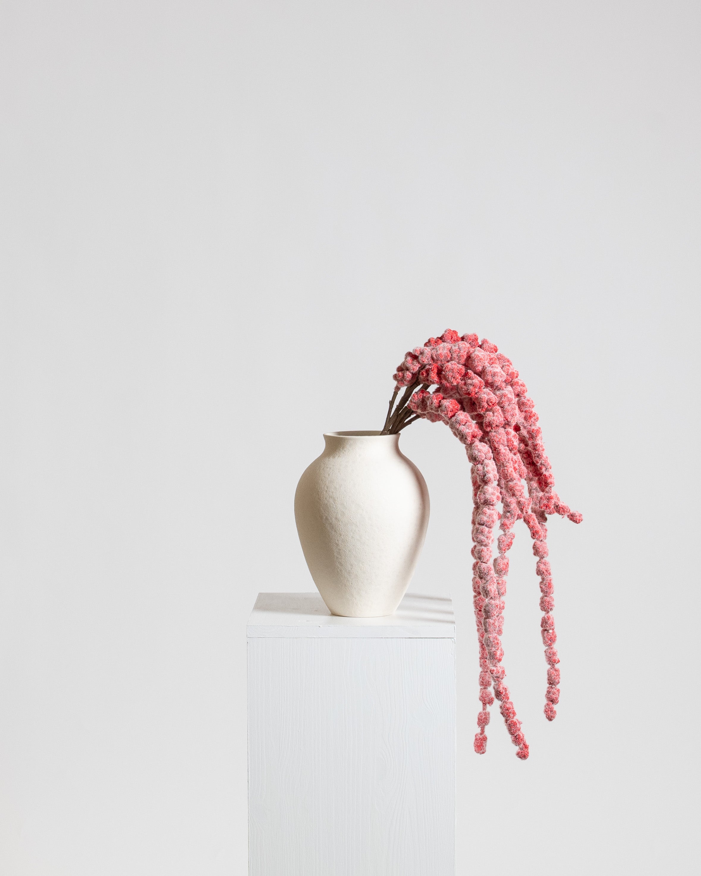 Amaranthus Bouquet | Red