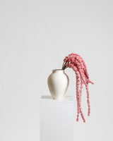 Amaranthus Bouquet | Red