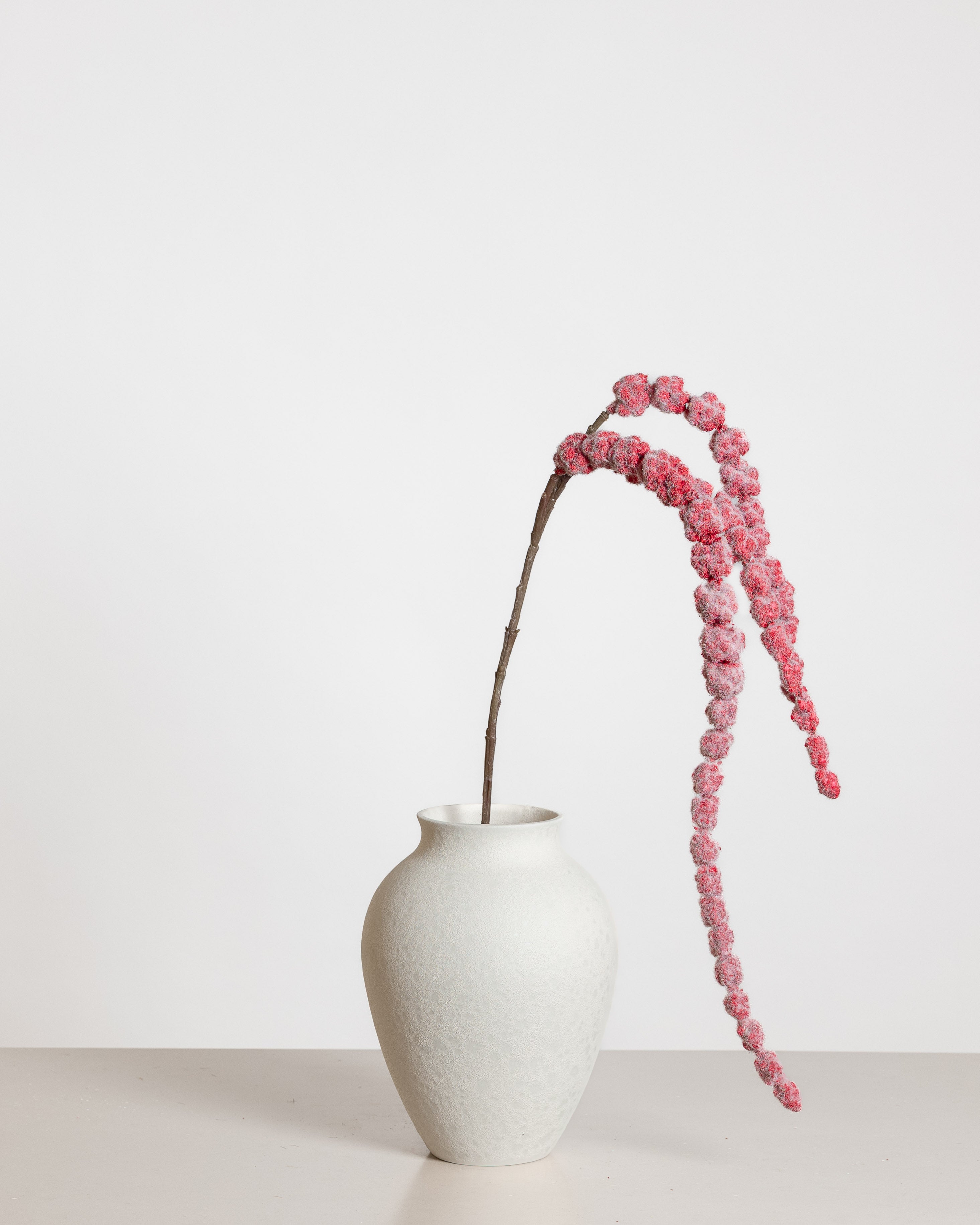 Amaranthus Flower — Red