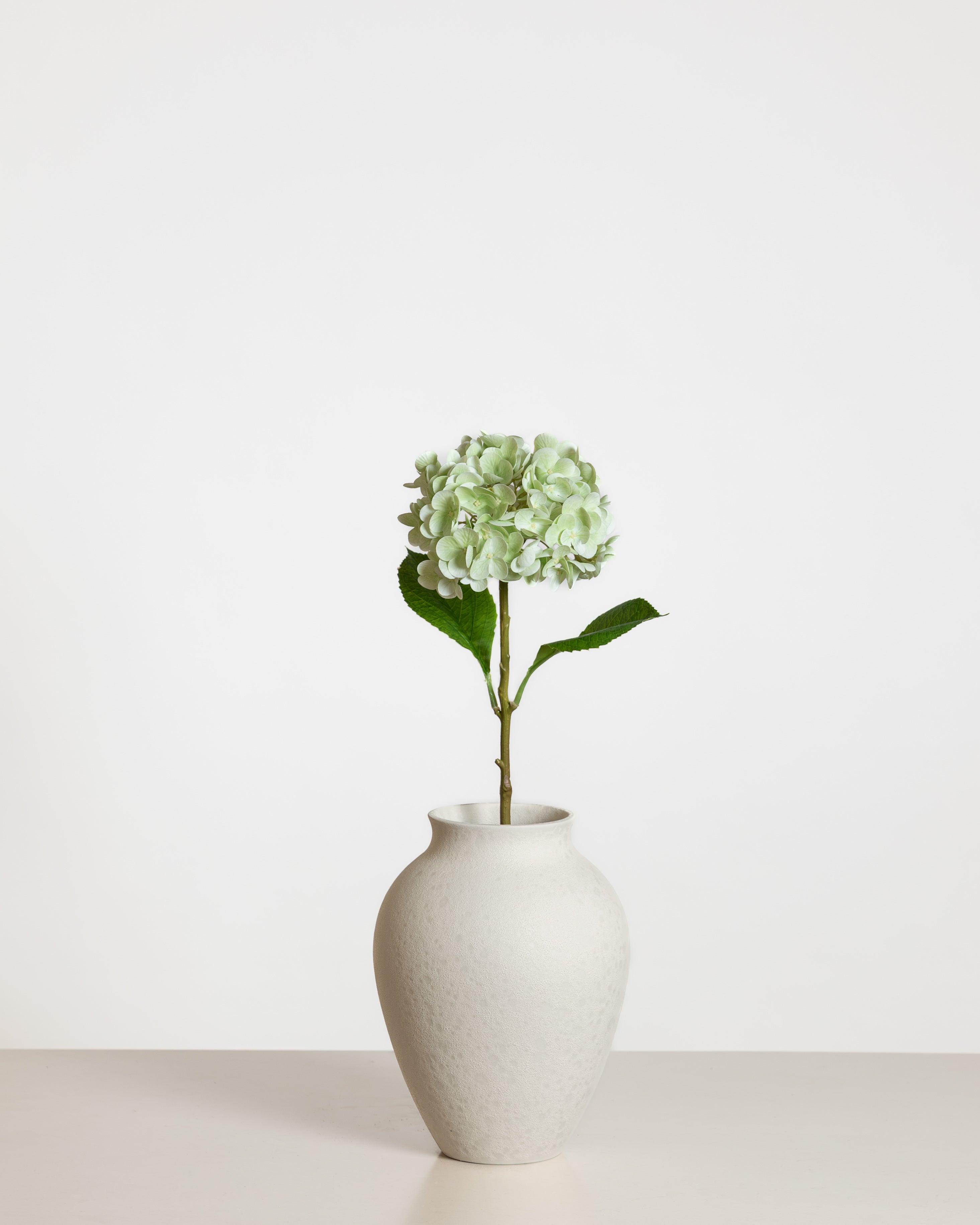 Hydrangea Flower — Light Green