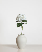 Hydrangea Flower — White
