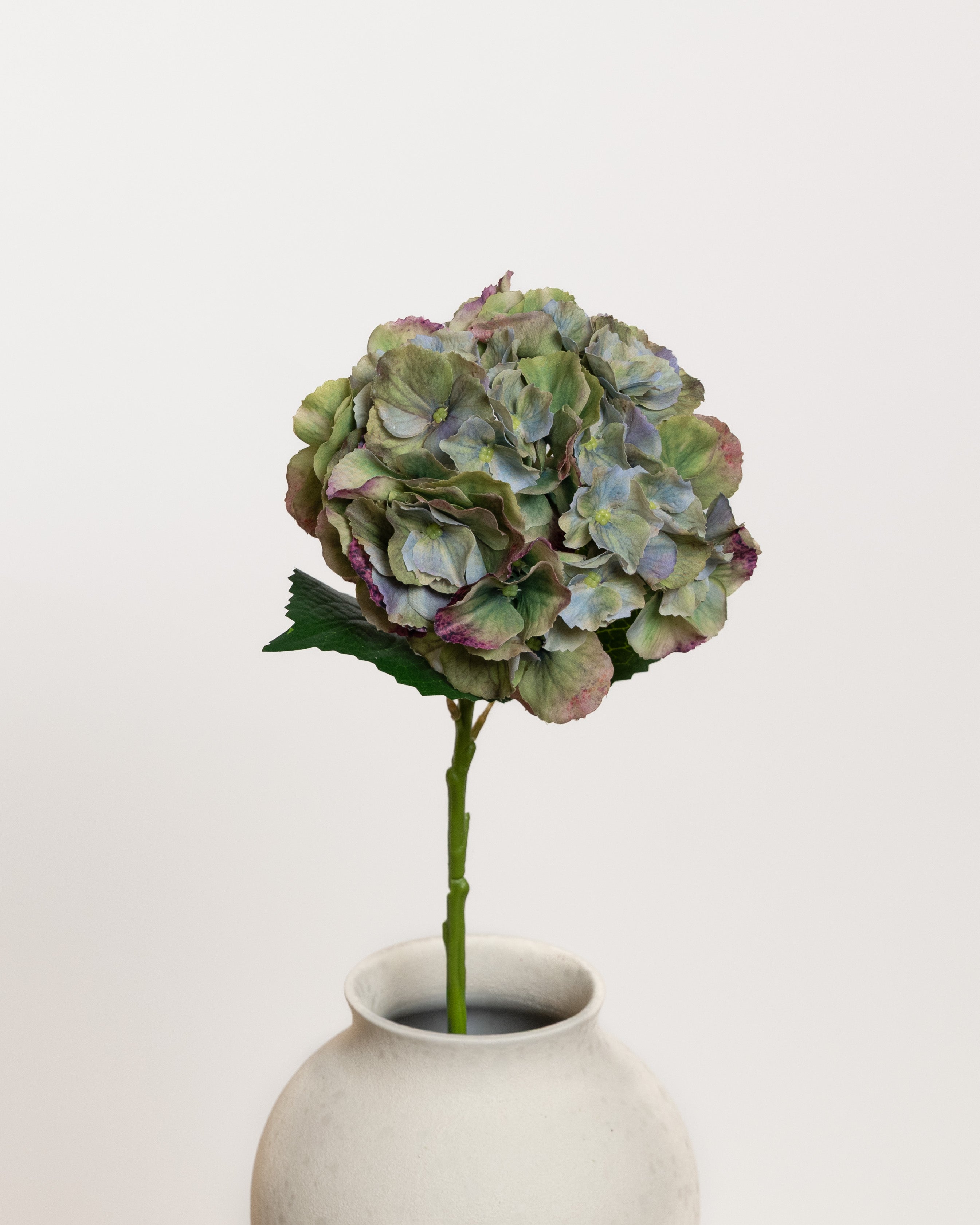 Hydrangea Flower — Green/Blue