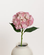 Hydrangea Flower — Pink