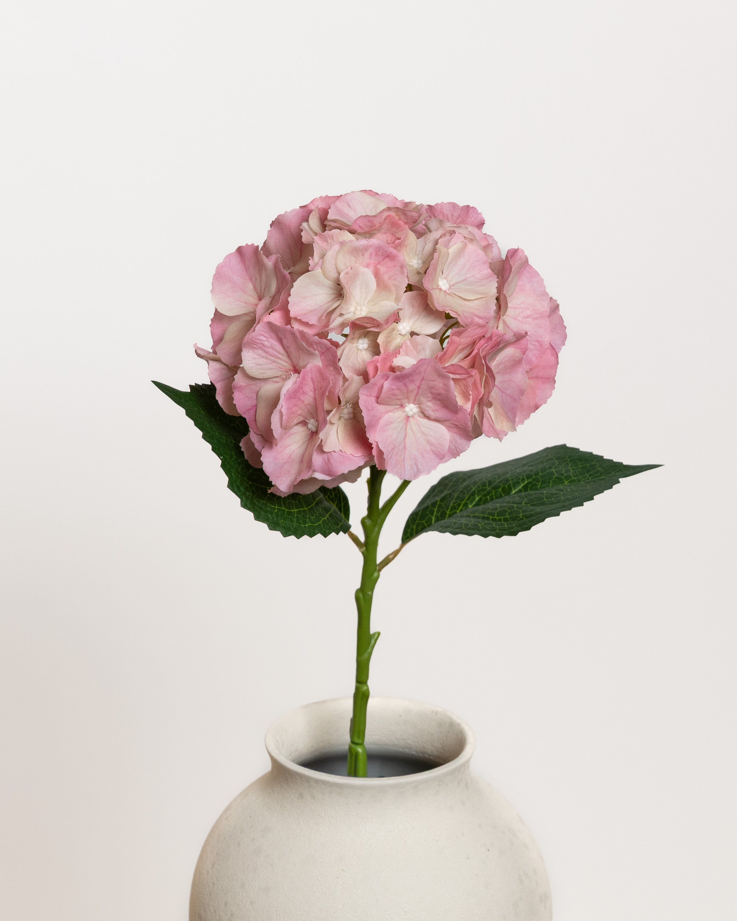 Hydrangea Flower — Pink