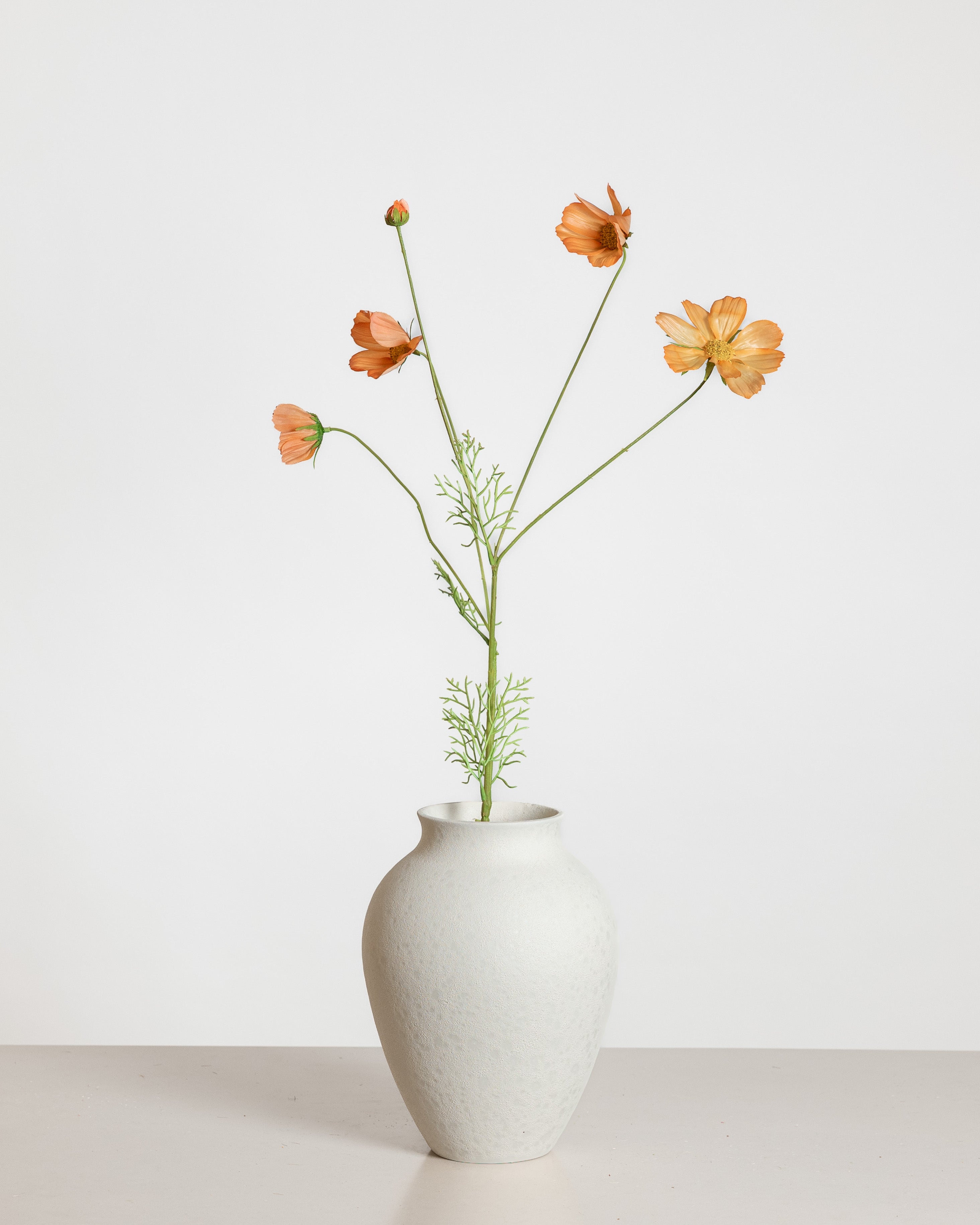 Cosmo Daisy Flower — Orange