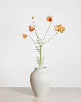 Cosmo Daisy Flower — Orange