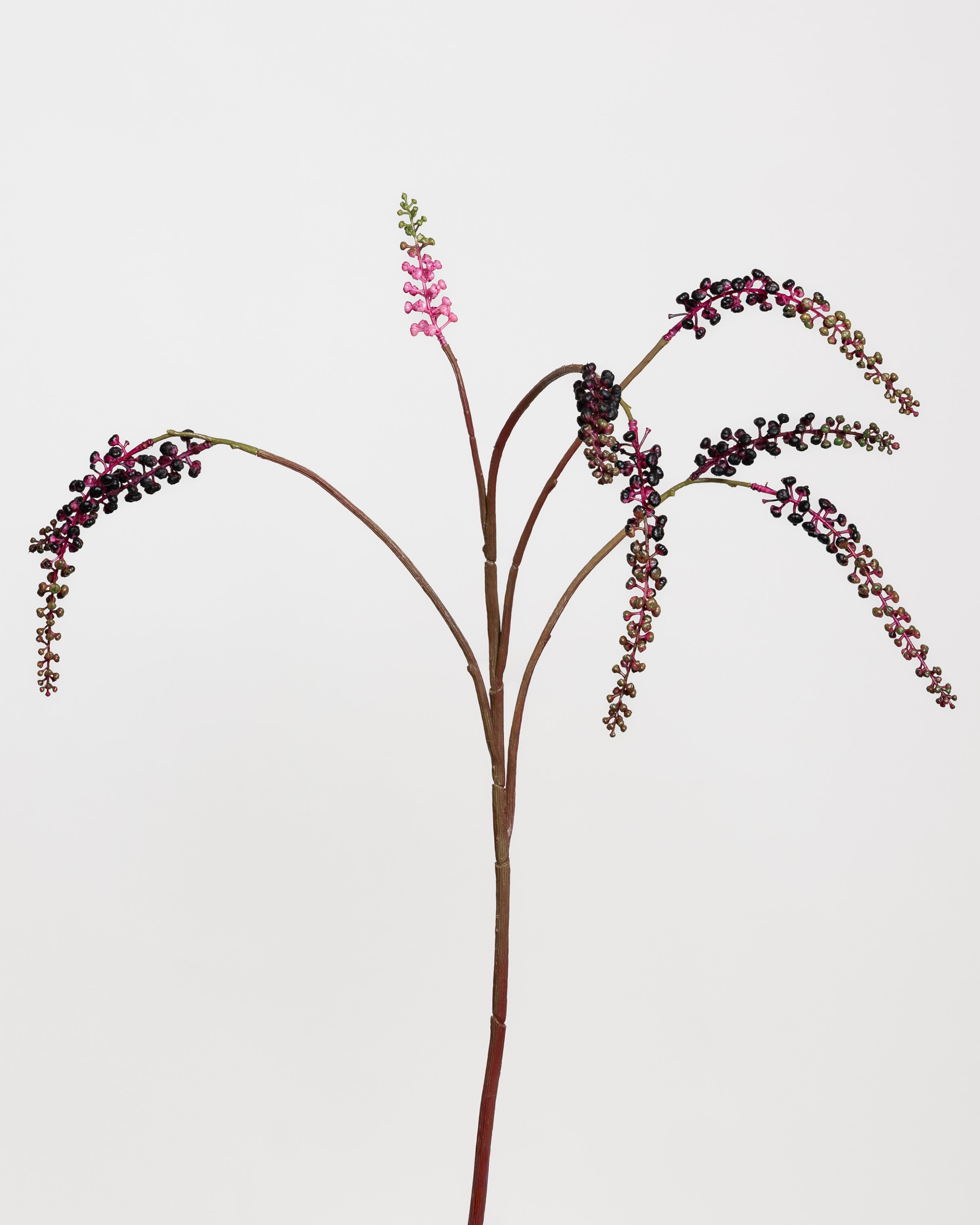 Phytolacca bärspray — Lila