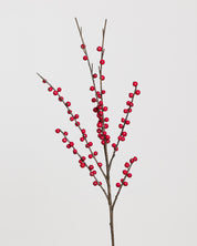 Ilex Bärspray — Röd