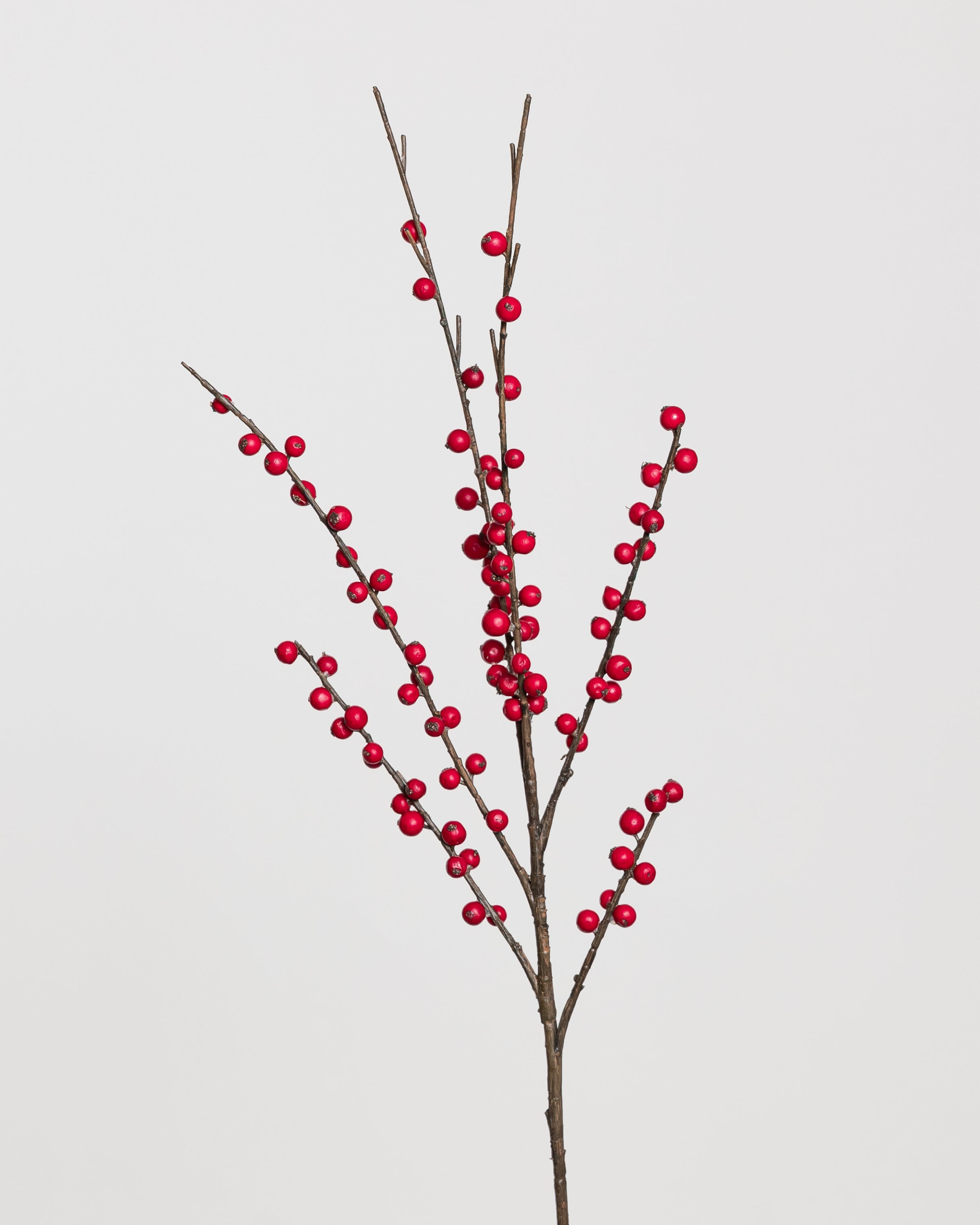 Cypress Berry Bouquet