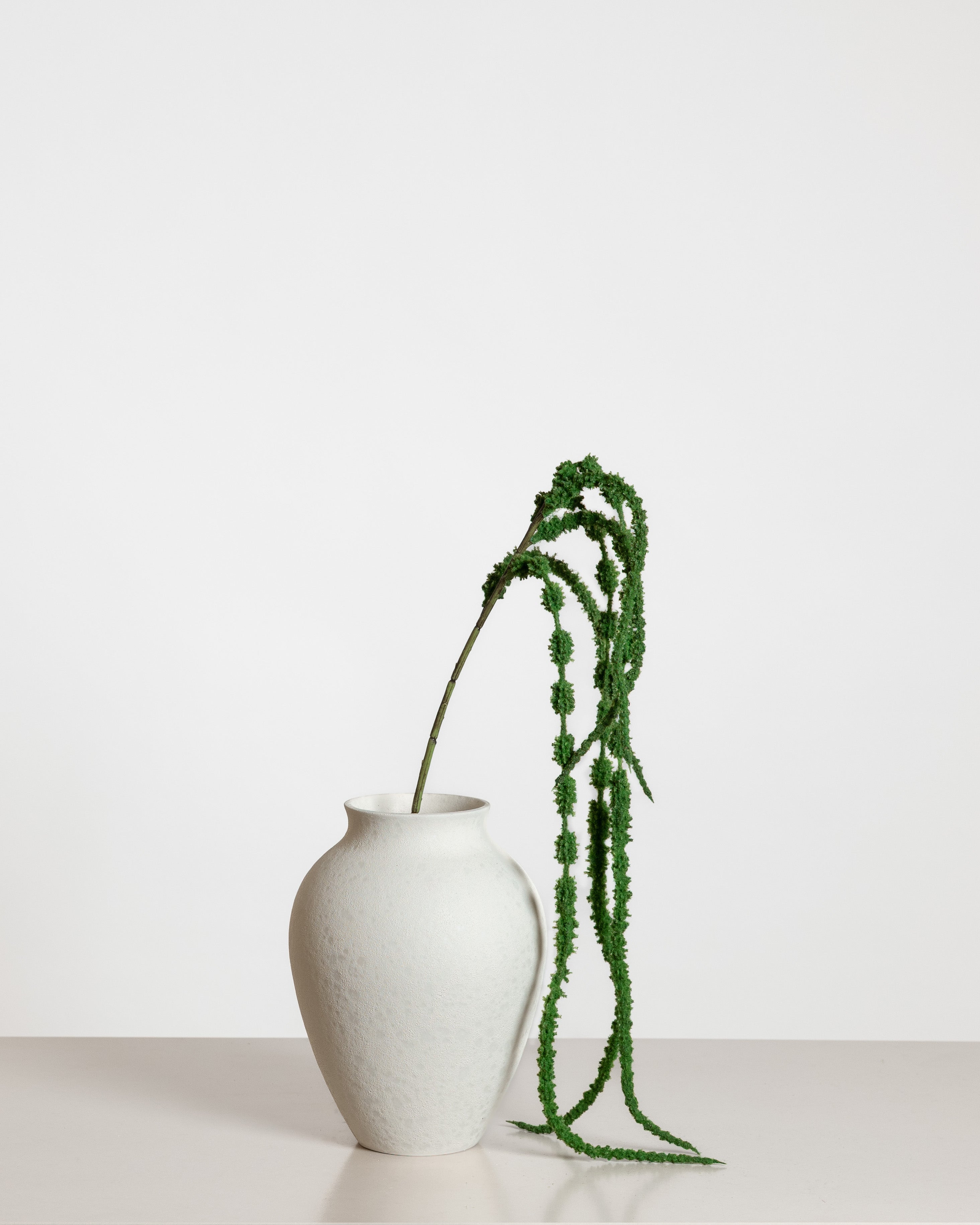 Amaranthus Flower — Dark Green