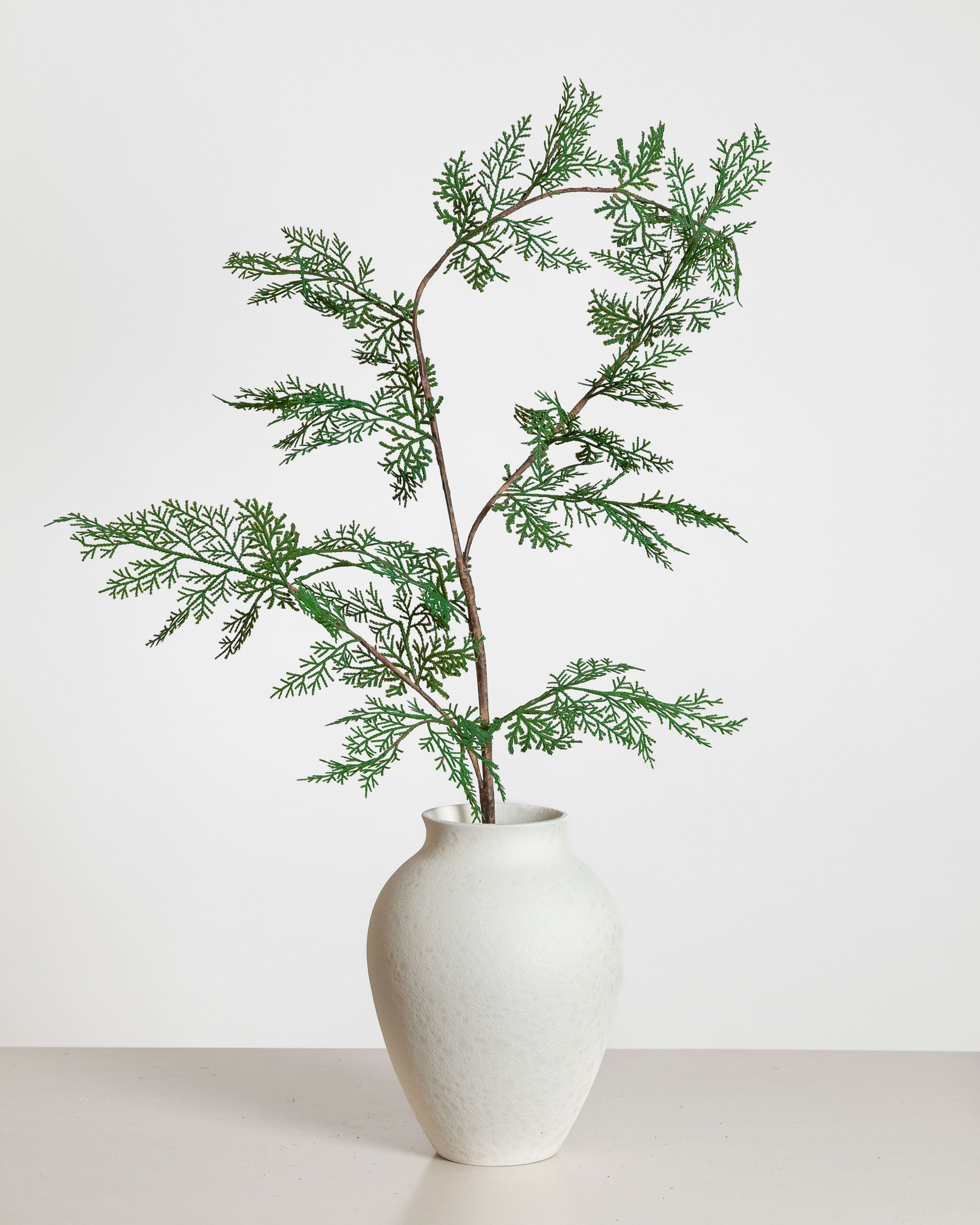 Cypress Spray — Green