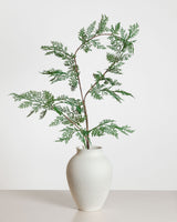 Cypress Spray — Green