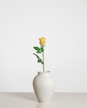 Rose — Yellow/Small