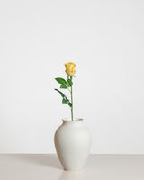Rose — Yellow/Small